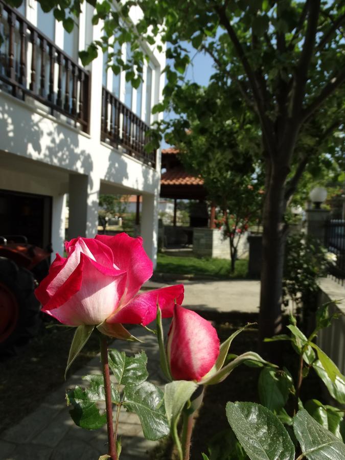 Christakos Apartments Vrasná エクステリア 写真